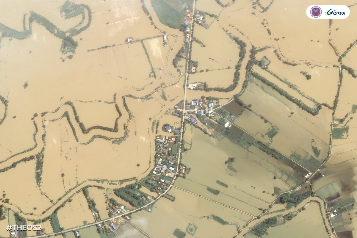 GISTDA's tweet image. 🛰️ เปิดภาพน้ำท่วมขังสุโขทัยจากดาวเทียม THEOS-1 และ THEOS-2 
(31 ก.ค. 68)

#GISTDA #อว #ดาวเทียม #ข้อมูลภูมิสารสนเทศ #ข้อมูลจากดาวเทียม #น้ำท่วม2568 #ประยุกต์ใช้ #บริหารจัดการน้ำ #ภาพดาวเทียม #วิเคราะห์น้ำท่วม #น้ำท่วมเหนือ #น้ำท่วมสุโขทัย #THEOS1 #THEOS2