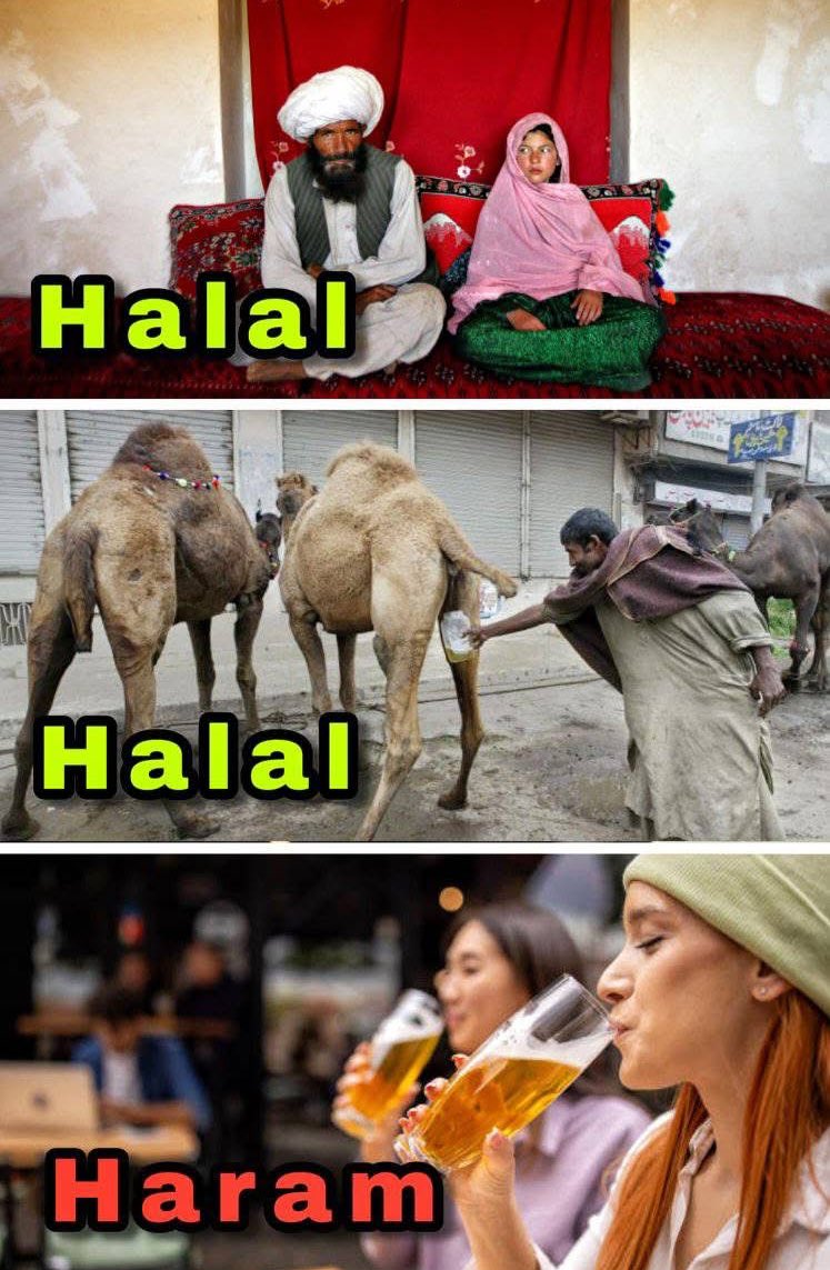 Please tell me what is the difference between Halala and Haram?