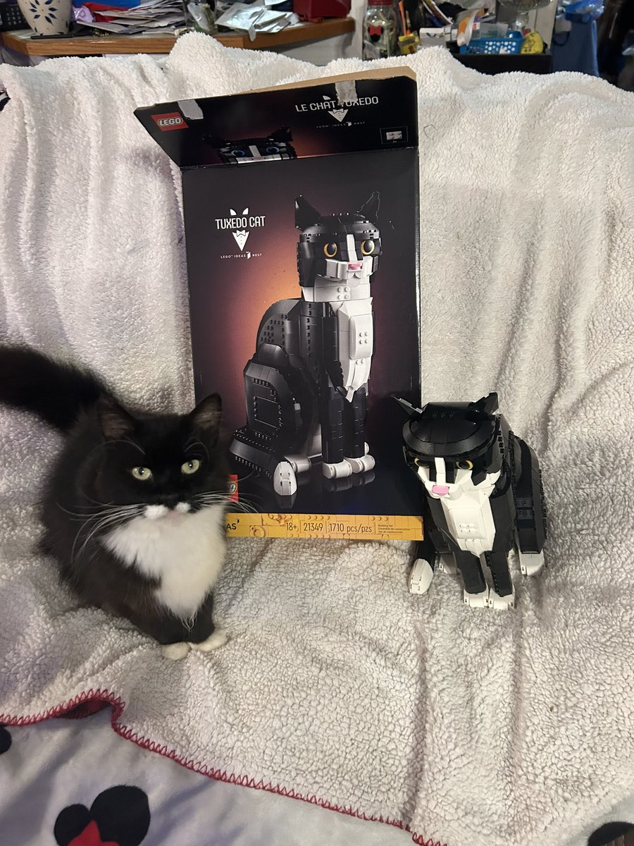 Sarah Knott tweet media