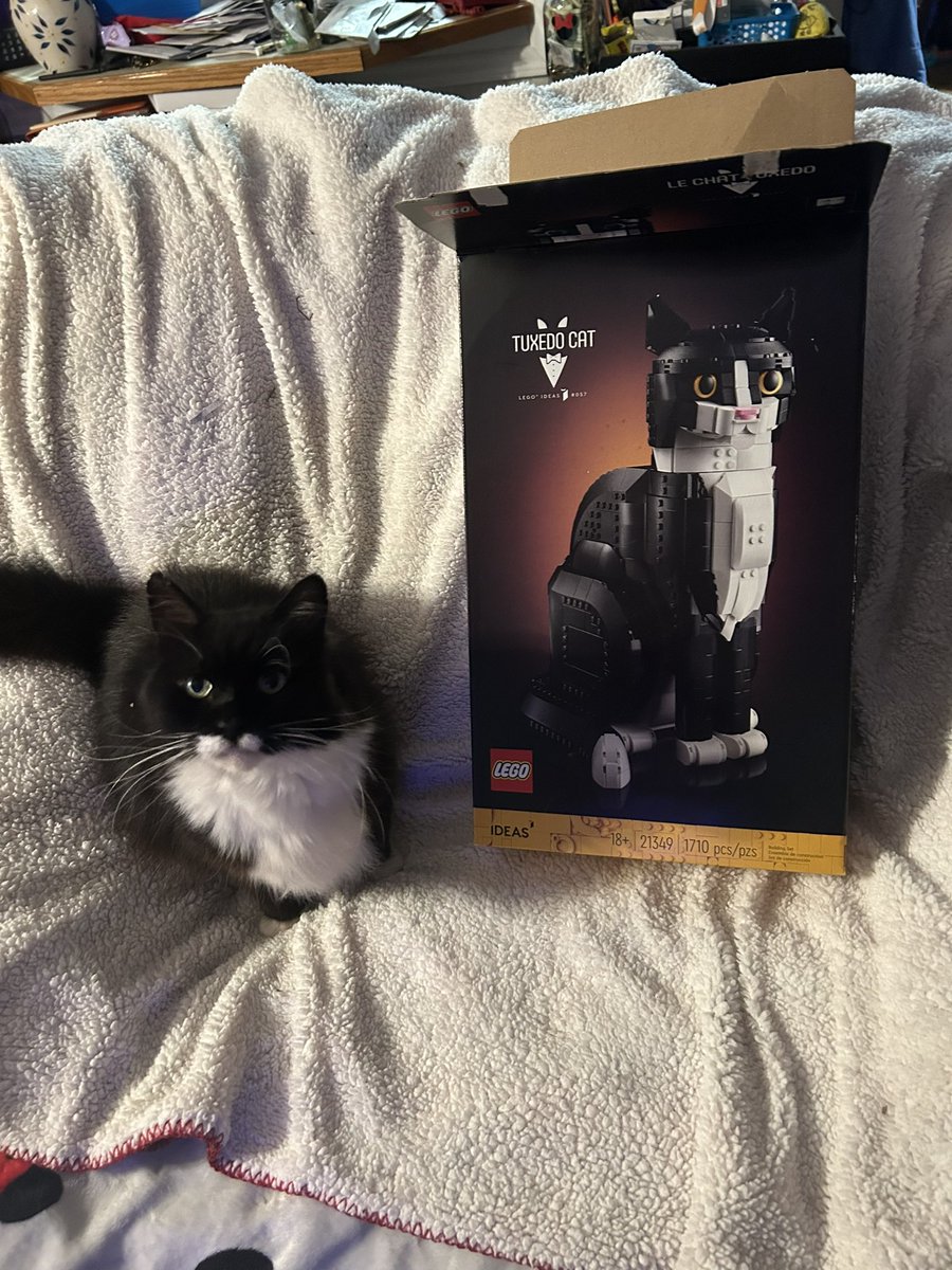 Sarah Knott tweet media