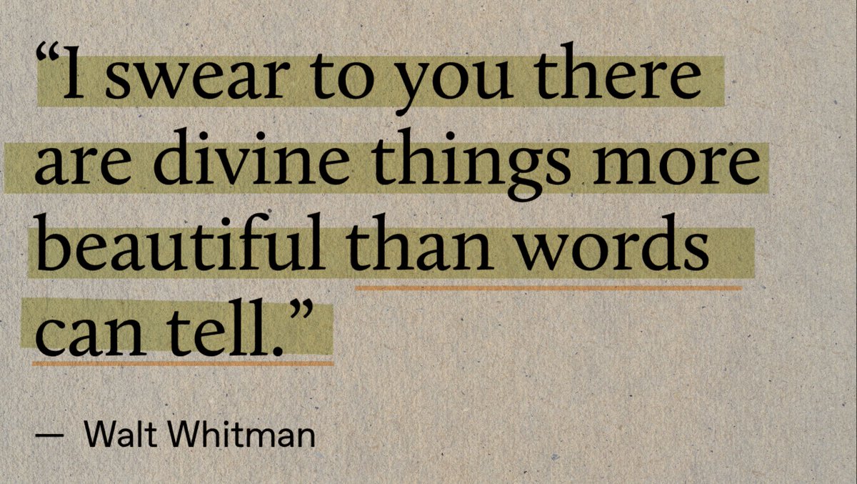 Synexdoche (@amor_fatti) on Twitter photo 