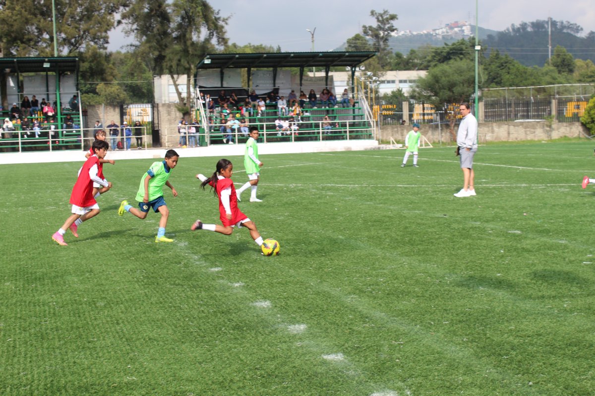Se llevaron a cabo las visorías gratuitas de fútbol para jóvenes de las categorías 2005 a 2014, con la participación de 120 talentos locales que fueron observados por representantes del Club América y el Club Atlas. ⚽️
#CiudadNaucalpan
#AquíGobiernaLaEsperanza