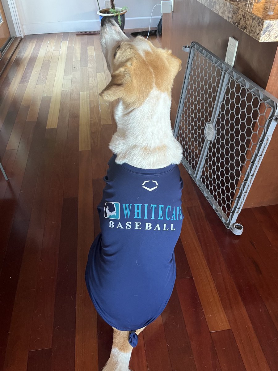 Everyone loves the ⁦<a href="/BrewsterCaps/">𝐁𝐫𝐞𝐰𝐬𝐭𝐞𝐫 𝐖𝐡𝐢𝐭𝐞𝐜𝐚𝐩𝐬</a>⁩!   

Even Gigi!