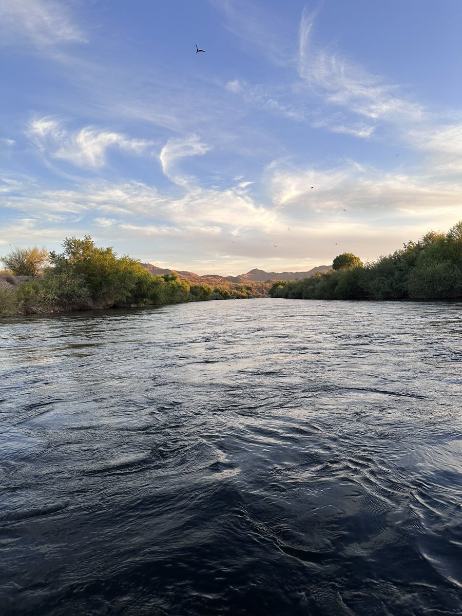 MariJLively's tweet photo. Being outside is dope 
#SaltRiver https://t.co/RcTI5jGvVp