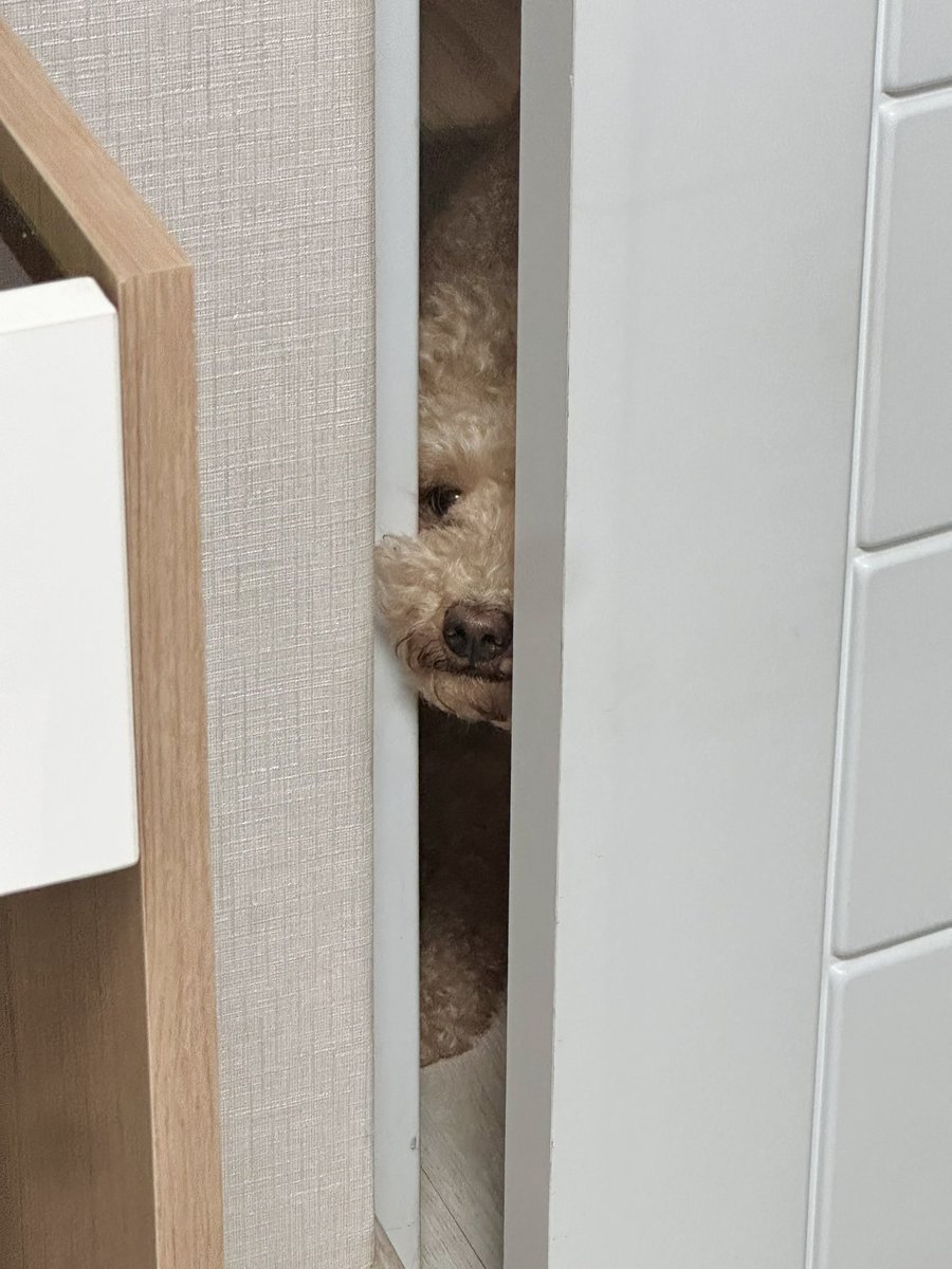 눈나 날이 이렇게 더운데도 출근해…?