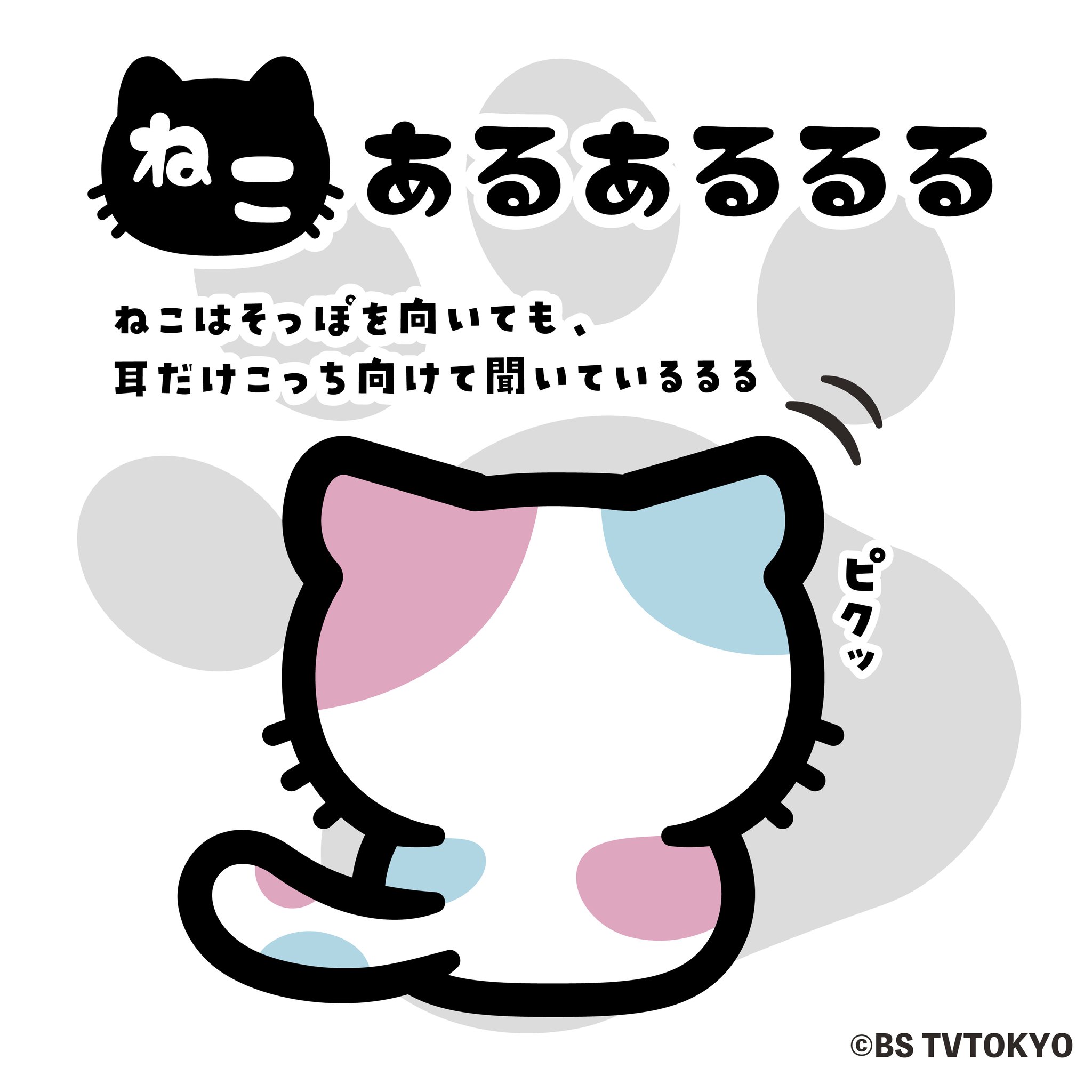 るるる BSキャッ東 on X: 