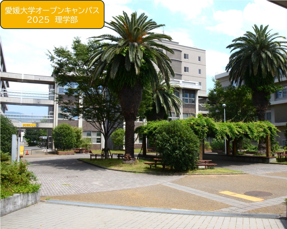 【INFORMATION】
2025愛媛大学オープンキャンパス準備中！第4弾は、理学部⚙🧫
理学部は「文京2番地区」にあります。図書館や食堂のある「文京3番地区」の道を挟んで向かい側です。
是非お越しください。
※理学部のオープンキャンパスは8月8日のみの開催です
詳細はこちら↓
ehime-u.ac.jp/entrance/open-…