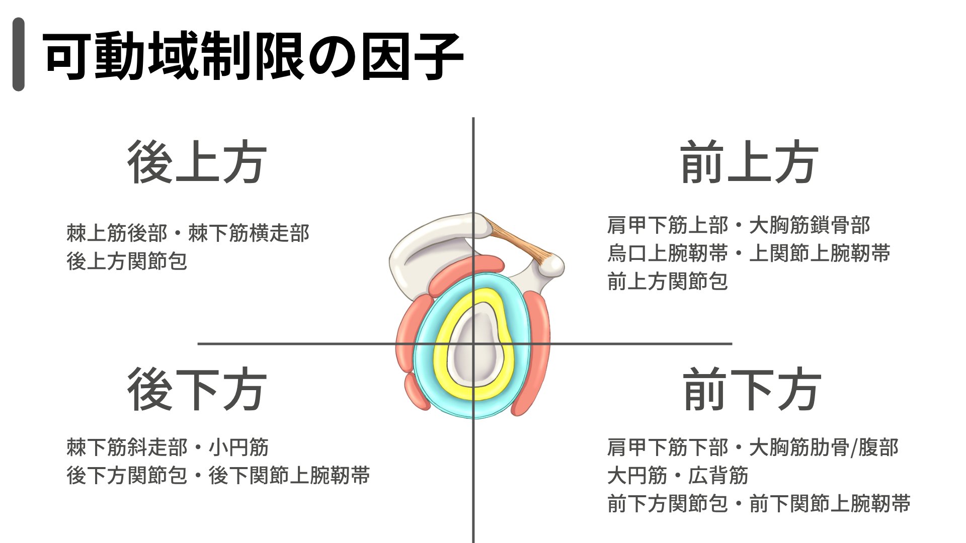 肩こりの臨床 : 関連各科からのアプローチ Ryuju@理学療法士 on X: 