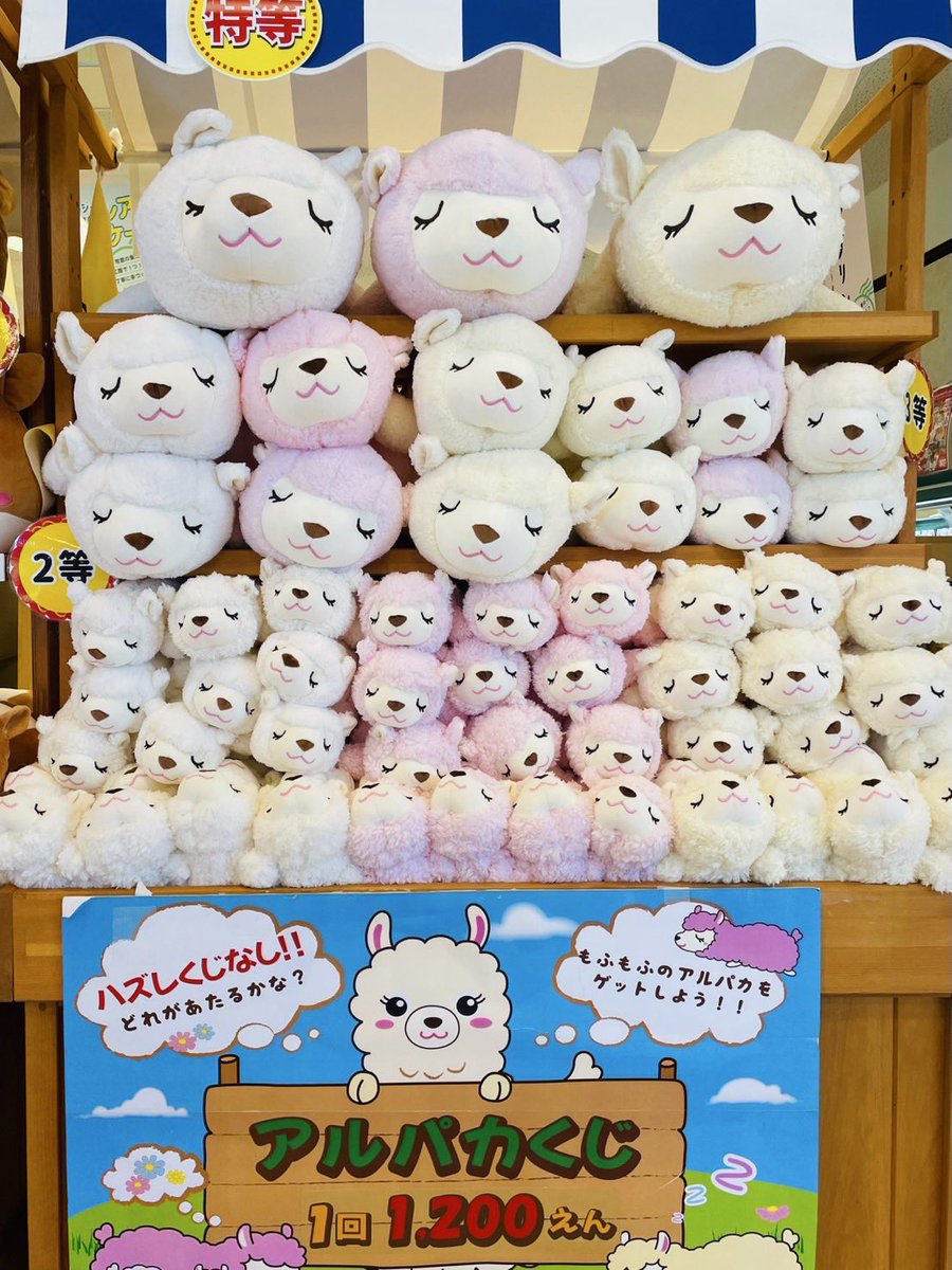 今月の動物ぬいぐるみくじ】 《メインハウス売店》人気コーナー 、1回