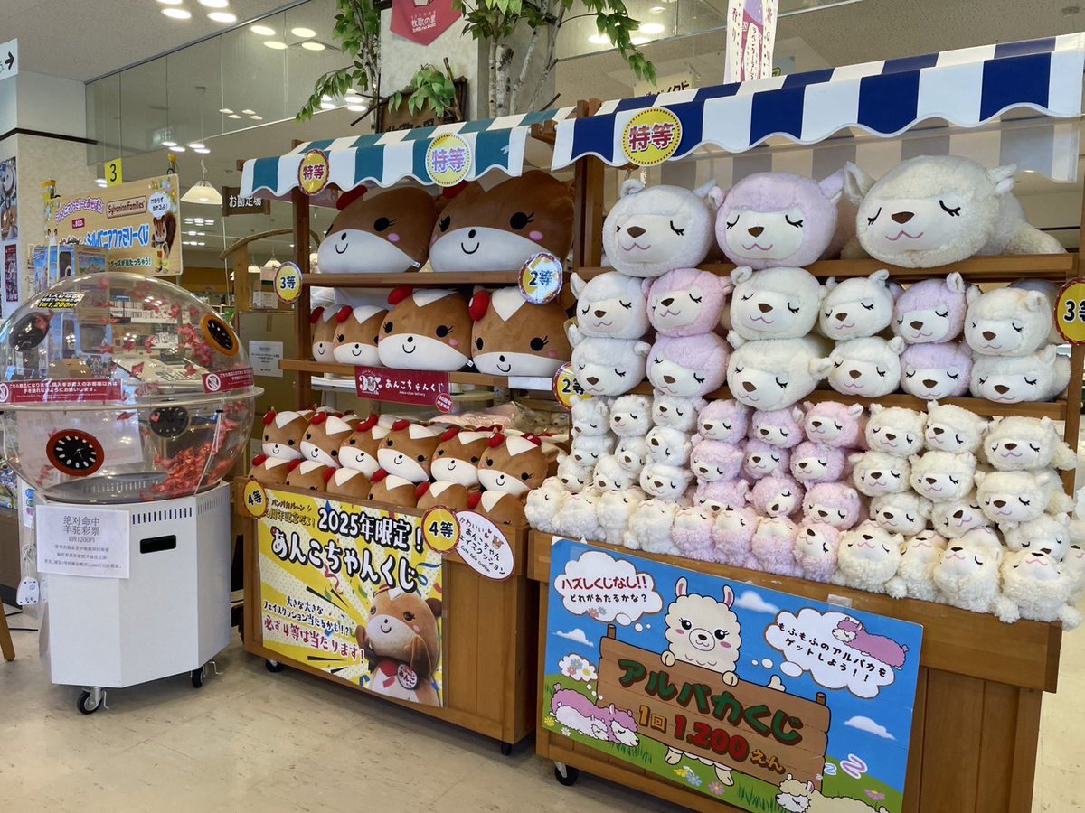 今月の動物ぬいぐるみくじ】 《メインハウス売店》人気コーナー 、1回