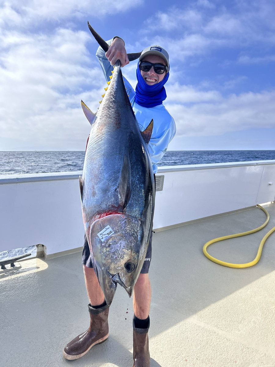 Ditcher718's tweet image. Fish