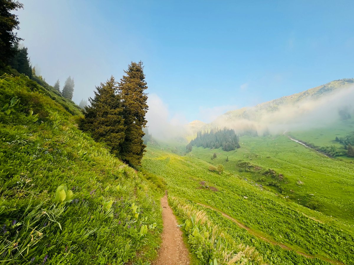 MetaEarth_ID's tweet image. GM @MetaEarth_ID Community, Pagi yang cerah yaa di hari jumat ini