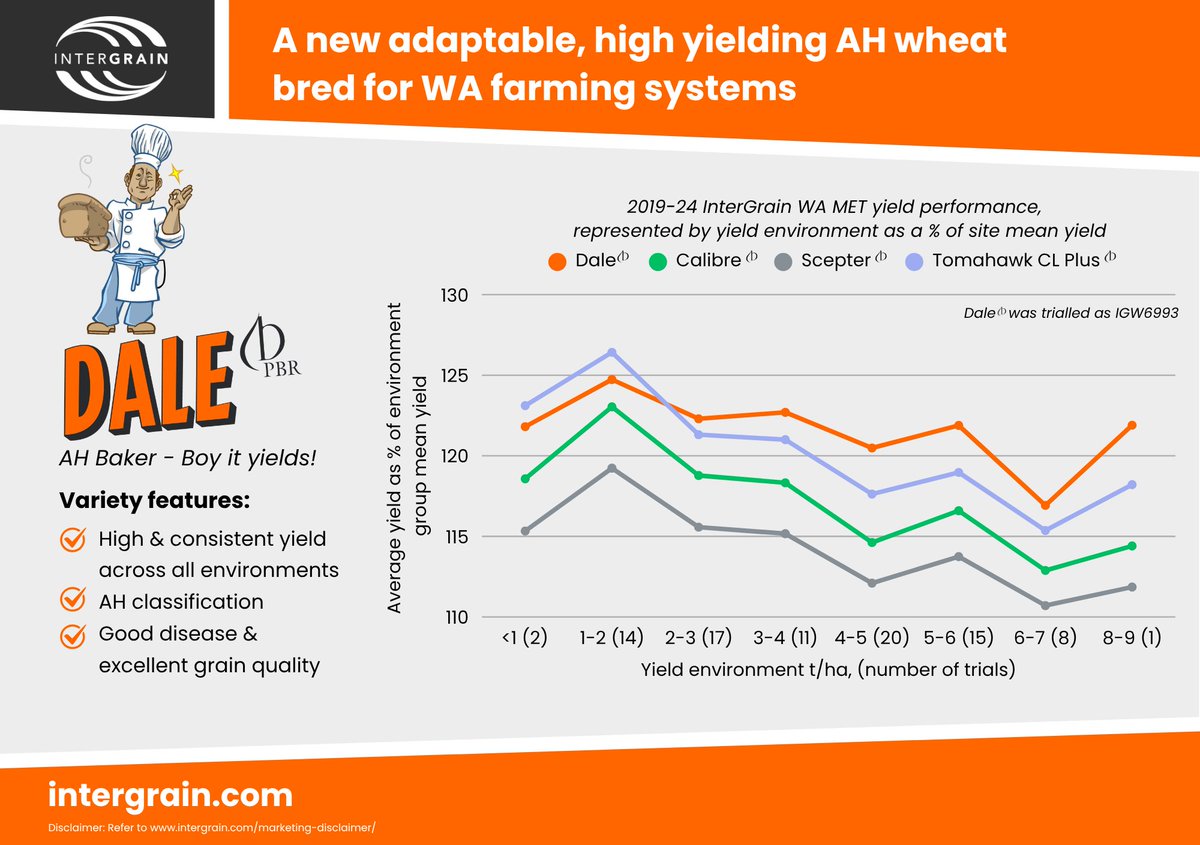InterGrain (@intergrain1) on Twitter photo We are very excited to introduce Dale - our new high yielding AH wheat, bred for adaptability across WA & SA. Dale is named in honour of Dale Baker, a respected WA grain grower whose legacy helped shape InterGrain & the wider grains industry. 
Read about more #Dalewheat here We are very excited to introduce Dale - our new high yielding AH wheat, bred for adaptability across WA & SA. Dale is named in honour of Dale Baker, a respected WA grain grower whose legacy helped shape InterGrain & the wider grains industry. 
Read about more #Dalewheat here