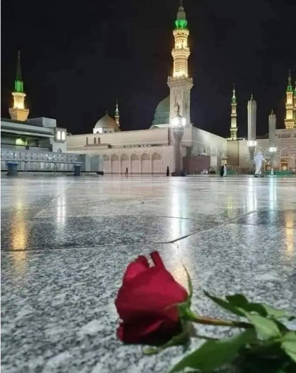 السلام علیکم ورحمتہ اللہ وبرکاتہ 
صبح بخیر 🥰🌺
جمعہ مبارک 🌹🌺🌹
ہم اِنسان بہت جذباتی ہوتے ہیں ہمیں ہر چیز جلدی چاہیے ہوتی ہے۔۔۔!!
ہم " کُن " صرف پڑھتے ہیں، لیکن " فیَکُون " پر یقین نہیں رکھتے۔۔۔!!
جب کہ اللّٰه ﷻ اور انسان کے درمیان سب سے گہرا رشتہ یقین کا ہی تو ہے۔۔۔🙂♥️
اللہ