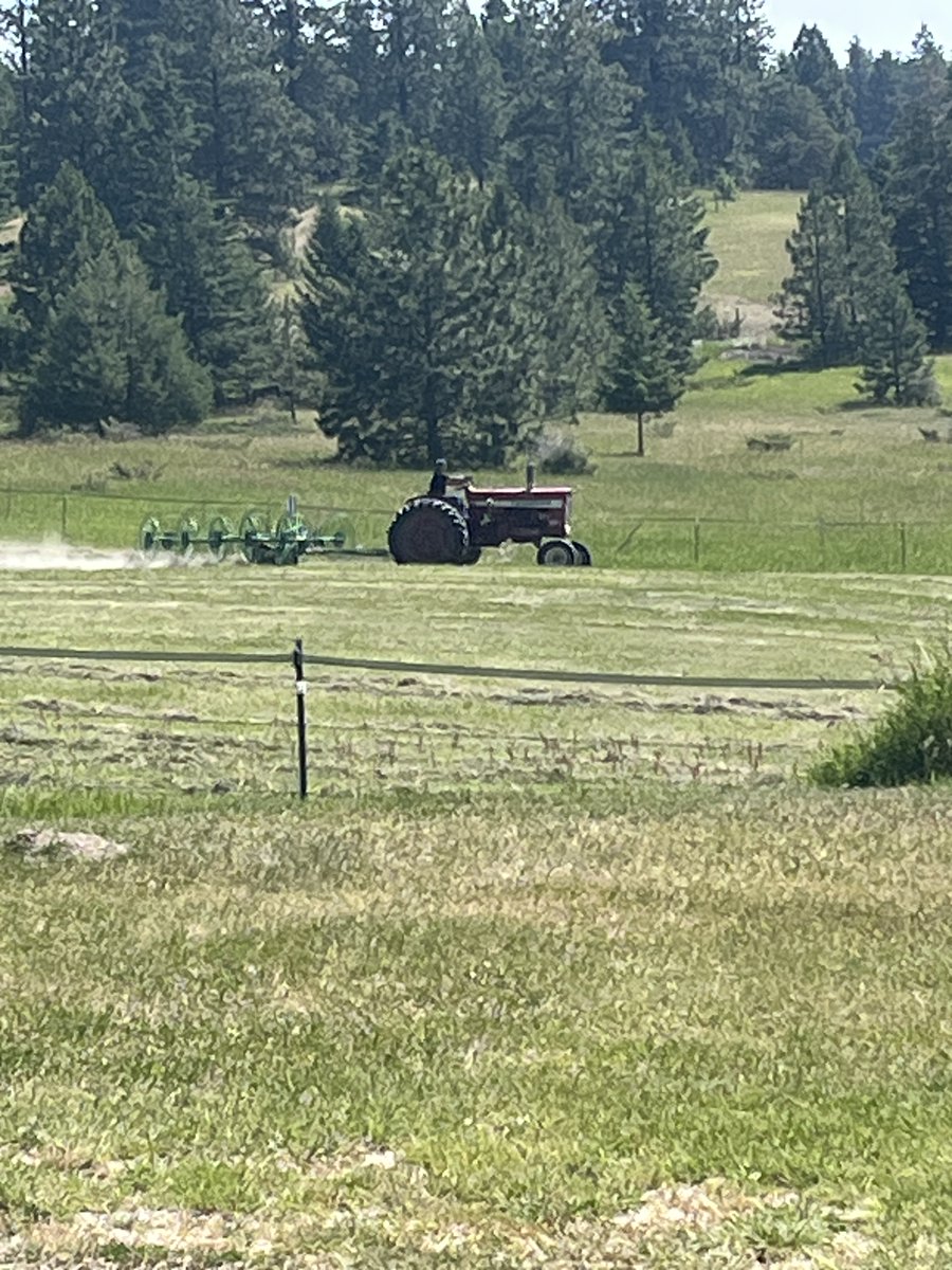 RanchEmu's tweet image. Another haying season in the books! 

#montanaemuranch #hayingseason #haying #hay #hayseason #hayday #ranchlife
