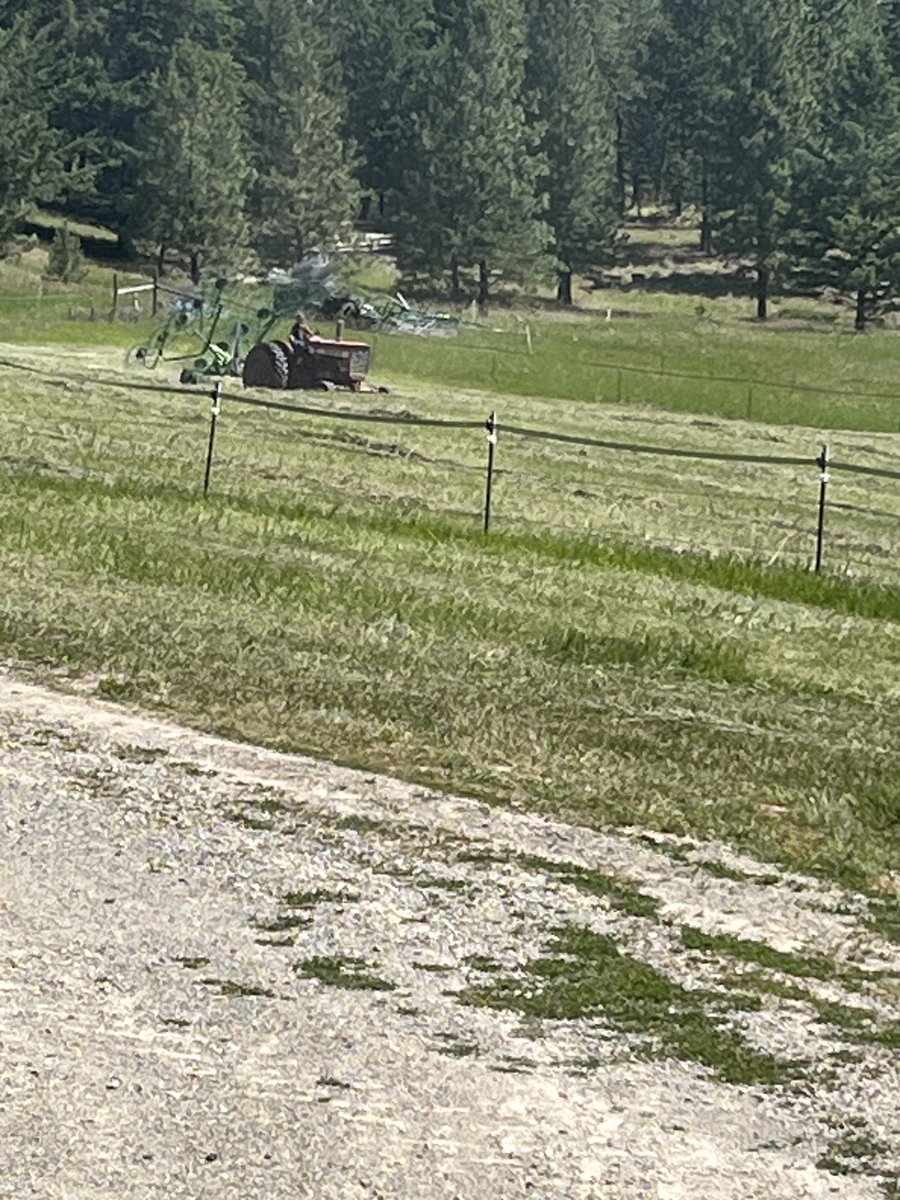 RanchEmu's tweet image. Another haying season in the books! 

#montanaemuranch #hayingseason #haying #hay #hayseason #hayday #ranchlife