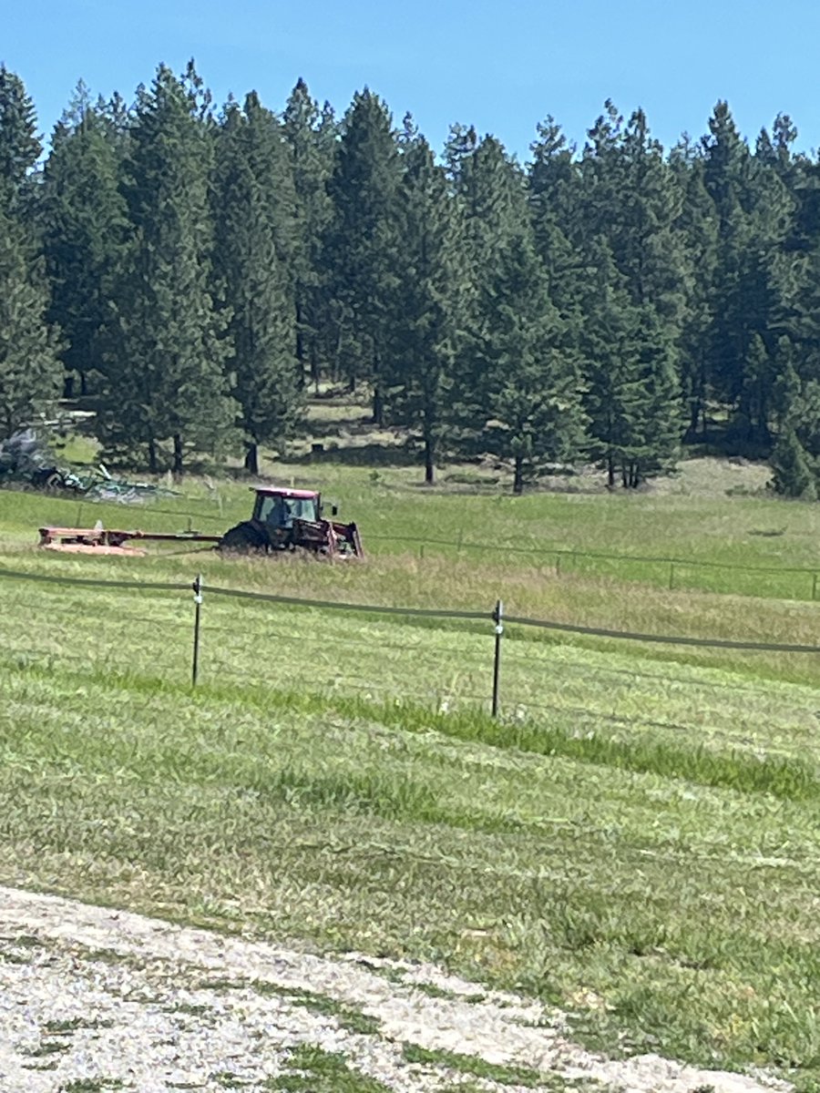 RanchEmu's tweet image. Another haying season in the books! 

#montanaemuranch #hayingseason #haying #hay #hayseason #hayday #ranchlife