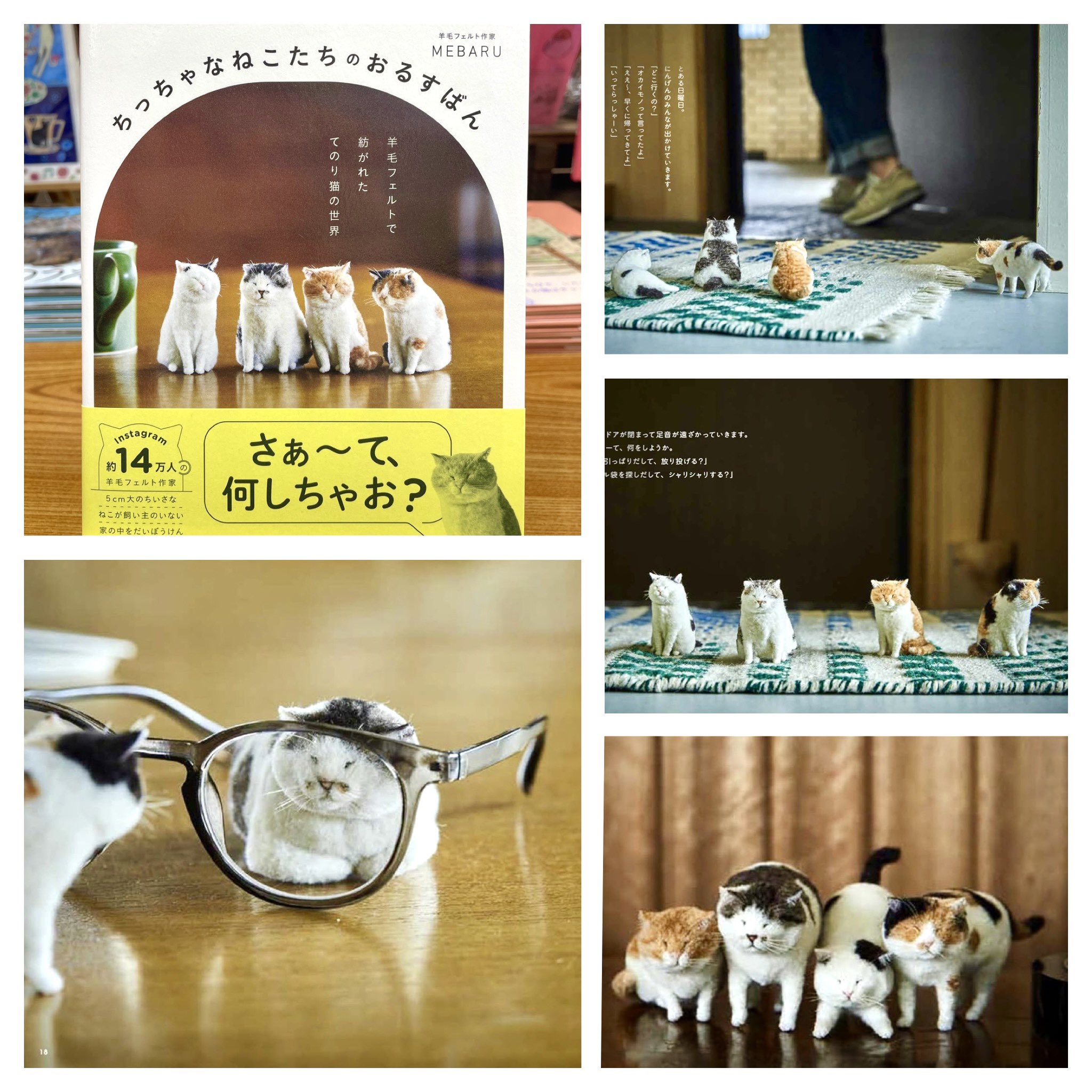 にゃんこパンチ⭐︎家庭保育園　教材 ☀️チャイルド本社さま『たのしいなつ B』2025(3~4歳さん向け