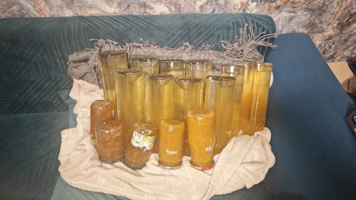 Весь вечер воевала с алычой и наконец победила