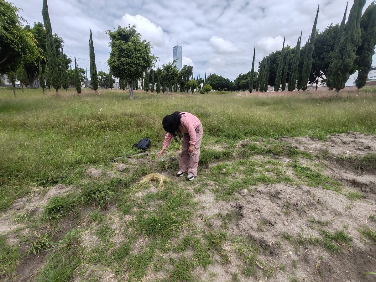 arboles_puebla's tweet photo. Jornada en el #AhuehuetedeCumulodeVirgo.
Se dio #riego, excavaron 2 #cunetas para encharcamiento y se colocó hojas como #cubresuelo en torno al ahuehuete para reducir la pérdida de humedad.
Gracias Mina, estudiante de arquitectura, por el apoyo.
🙂🌳💧💧💧🐝🪲🦋🥀
#EspacioPúblico https://t.co/3qpAU7LDjn