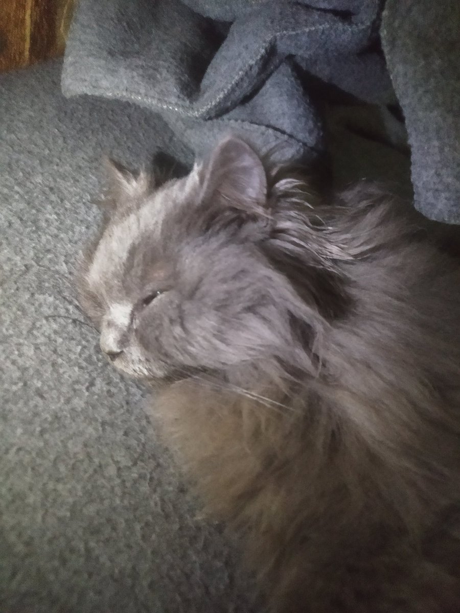 This is the first time I've seen Biso like this, crying like a little baby. 😭😭.

He's the most precious thing I have in this life, and I don't want to lose him. 🙏💔

Please, don't leave us alone. This is our last chance... please. 😞💔

chuffed.org/project/140210…