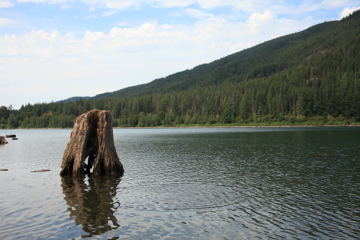 Ross McMeekin (@rossmcmeekin) on Twitter photo 