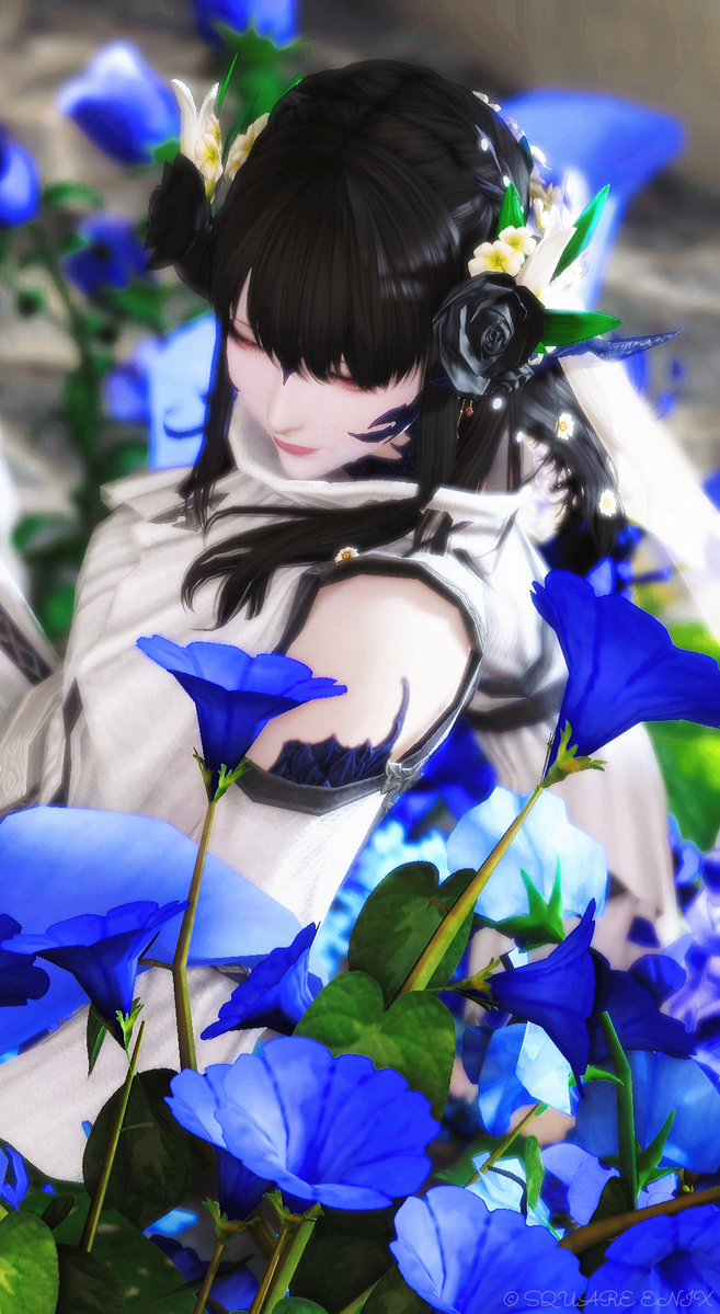 レイラ様♡ありがとうございます♡ レイラ☪︎*。꙳ on X: