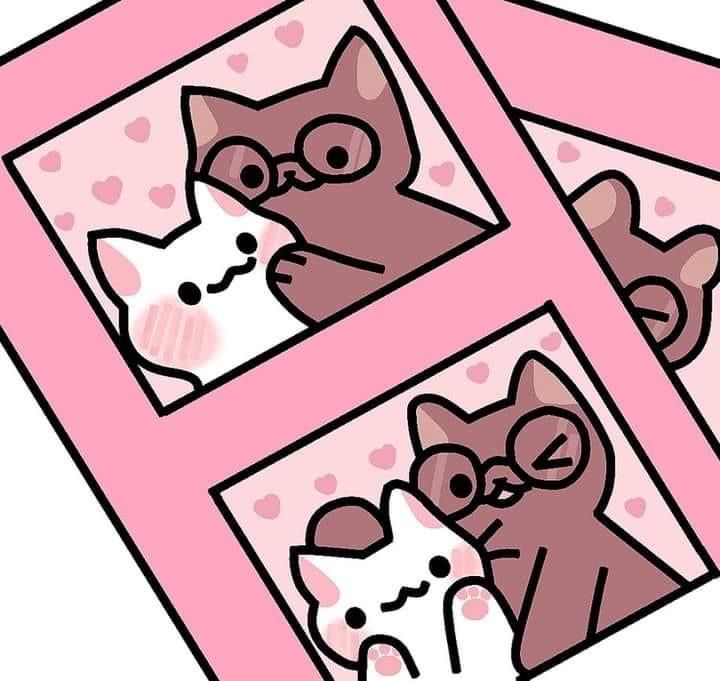 only cute things (@cutedreamvibes) on Twitter photo 