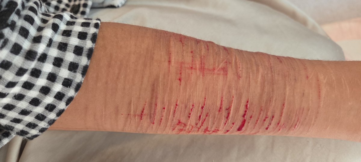 ▶︎ •၊၊||၊|။||||၊၊||၊|။|||| |