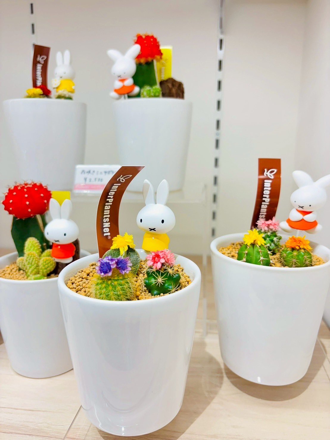 ミッフィー フラワーベース ランタン 公式】フラワーミッフィー (@FlowerMiffy) / X