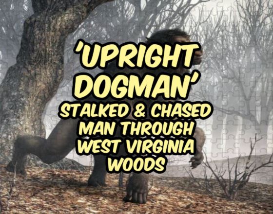 Covert Cabal tweet media