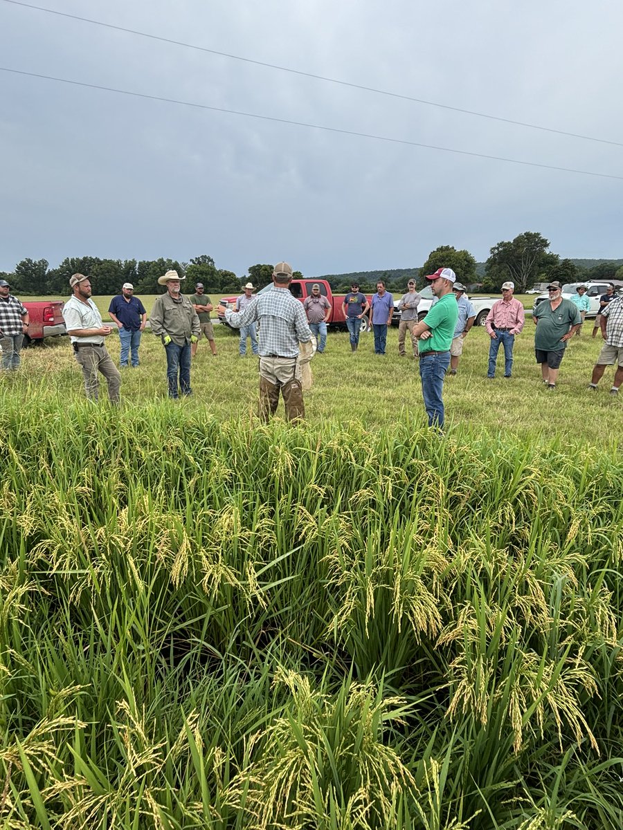 Kevin Lawson tweet media