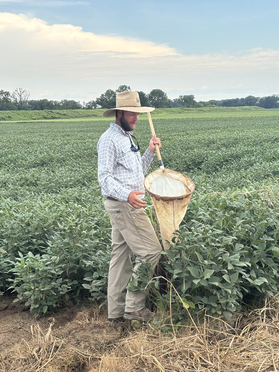 Kevin Lawson tweet media