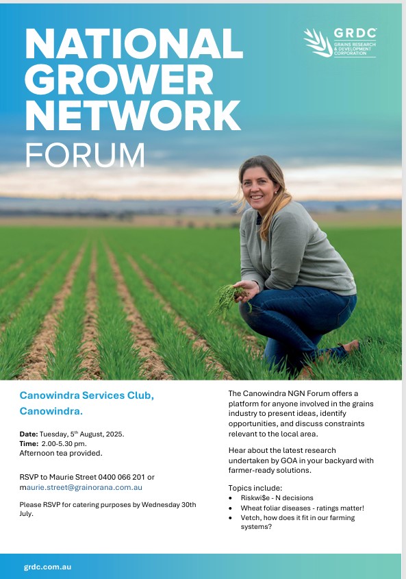 GrainOrana's tweet photo. 📅Tuesday: CANOWINDRA, 2-5.30pm
...join us for @theGRDC NGN Forum
GOA's Ben & Maurie & Rohan Brill will talk on local research into:
🚜Riskwi$e-N decisions.
🦠Wheat foliar diseases-ratings matter!
🌿Vetch: in our farming systems?
@GRDCNorth @brill_ag @MaurieStreet #NGNForums
