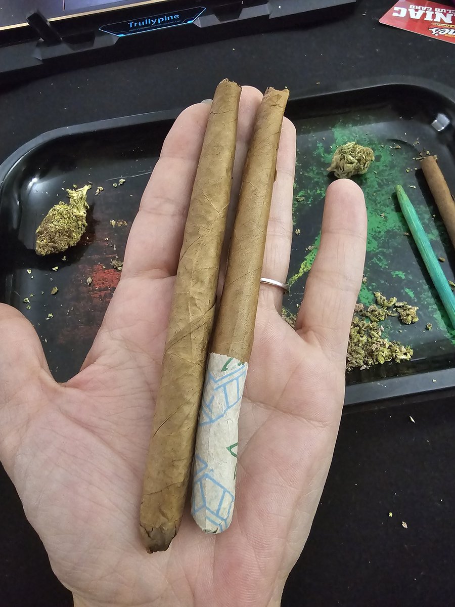 NikkiTude tweet media