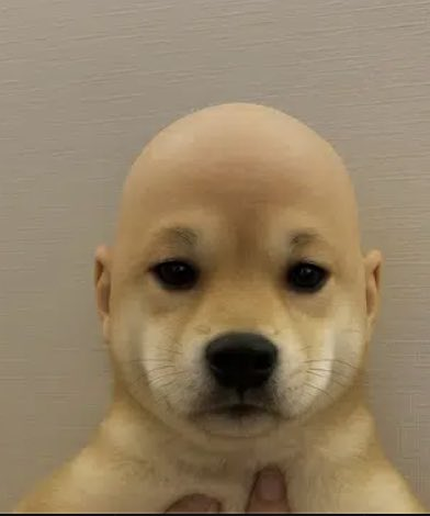 Dantu10 (@dntunft) on Twitter photo 