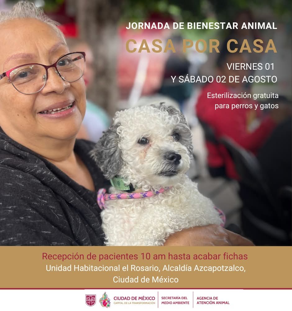 Bruno G. Marín (@bruno_gmarin) on Twitter photo Un gusto caminar por las calles de El Rosario en <a href="/AzcapotzalcoMx/">Alcaldía Azcapotzalco</a> como parte del programa Casa por Casa del <a href="/GobCDMX/">Gobierno de la Ciudad de México</a>
En el toque de puertas con el equipo de <a href="/AgatanCdmx/">Agencia de Atención Animal</a>, nos recibió este perrito junto a su tutora, quien mañana nos visitará en nuestra jornada ❤️🐾🐶
<a href="/AnaJVillagran/">Ana J Villagrán</a> Un gusto caminar por las calles de El Rosario en <a href="/AzcapotzalcoMx/">Alcaldía Azcapotzalco</a> como parte del programa Casa por Casa del <a href="/GobCDMX/">Gobierno de la Ciudad de México</a>
En el toque de puertas con el equipo de <a href="/AgatanCdmx/">Agencia de Atención Animal</a>, nos recibió este perrito junto a su tutora, quien mañana nos visitará en nuestra jornada ❤️🐾🐶
<a href="/AnaJVillagran/">Ana J Villagrán</a>