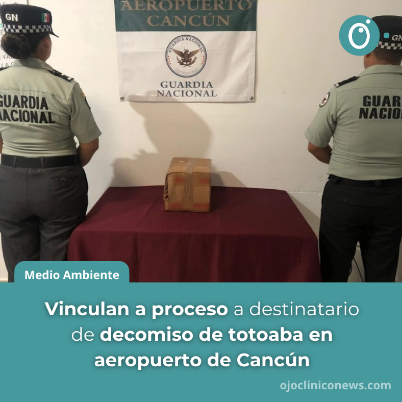 ojocliniconews's tweet image. Nizdali “A” fue #VinculadaAProceso ⚖️ tras intentar enviar por paquetería 📦 27 buches de #Totoaba 🐟 en julio de 2020, los cuales fueron #Decomisados en el #AeropuertoDeCancún ✈️, #QuintanaRoo📍.

⚡ Ve la noticia con Ojo Clínico ojocliniconews.com/vinculan-a-pro…