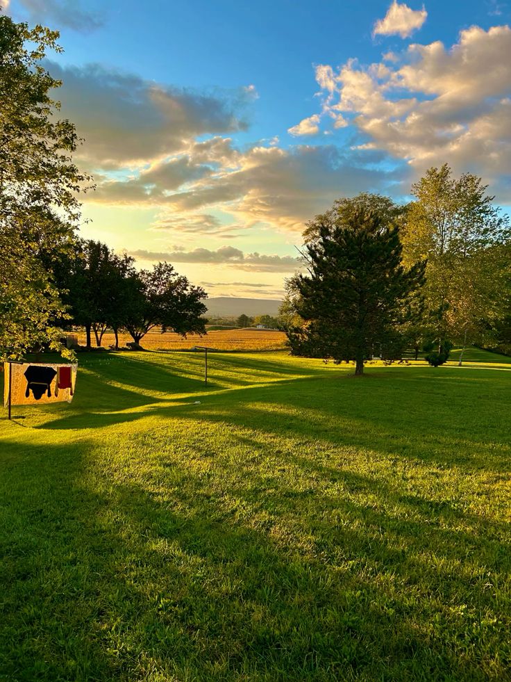 ᅠ ᅠ (@greendreaams) on Twitter photo 