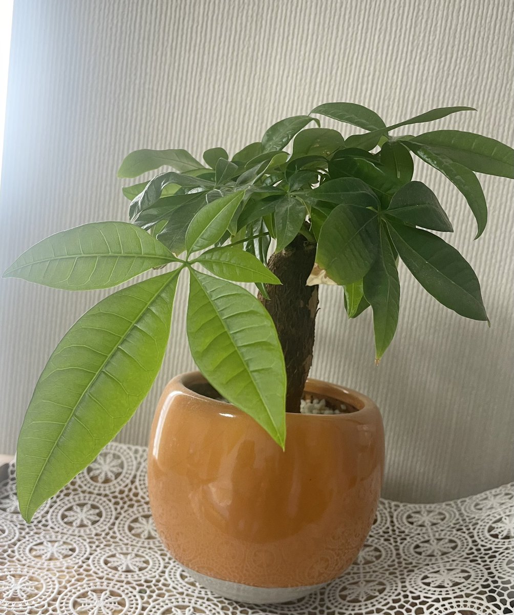 ニノちゃんおはよー☁️
おととい克実さんとのお仕事？
って何かな。

とにかく
⚾️素晴らしかった‼️✨👏
スーパースター我が社長🌟

さ、８月（ｷﾀｷﾀ）！
🌻•*¨*•.¸¸☆*✨️

今日は仕事終えたら
雑誌祭の旅（本屋）へ📙😊
本日も健康で良い一日を💛

#二宮和也