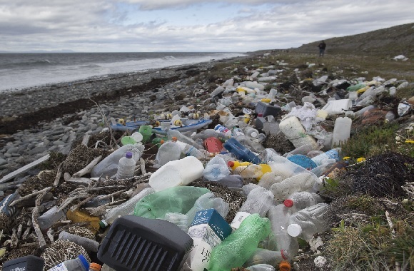 Comercio debe ser parte de las estrategias para acabar con la contaminación por plásticos imagenagropecuaria.com/2025/comercio-…