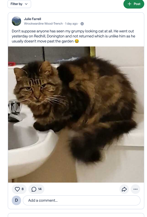DeniseAnJackson's tweet image. This lovely, grumpy-looking cat is #missing from his home in #Redhill #Donnington #Telford #TF2.  For more details please check out this post on Nextdoor: nextdoor.co.uk/p/HhMkMh9hsLNY…