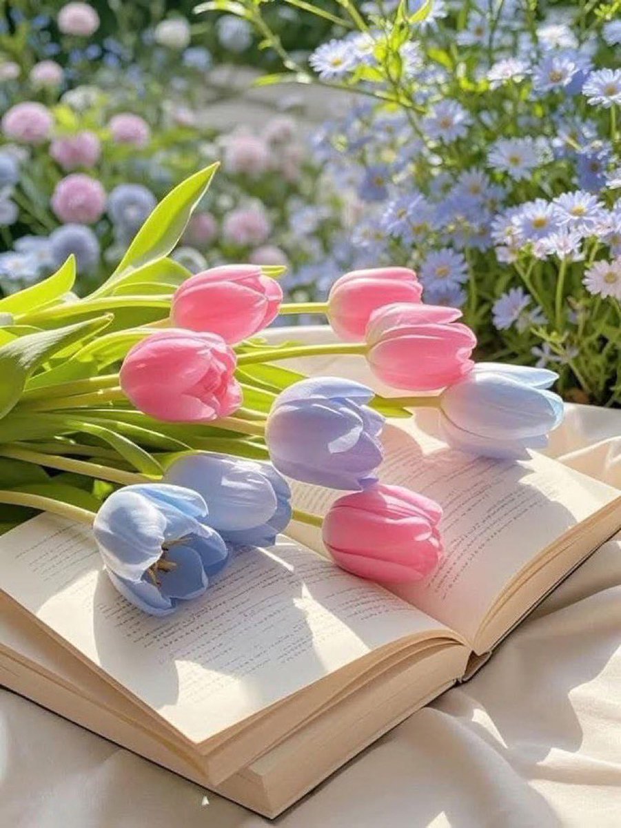 قوافي فصحى☕️🖋 tweet media