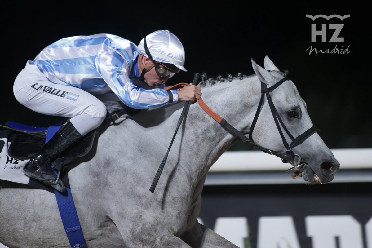 Orden definitivo de la quinta carrera, PREMIO PAZIFIKSTURM:

🥇 BELADOR
🥈 ALMANSA
🥉 CHIQUITIN