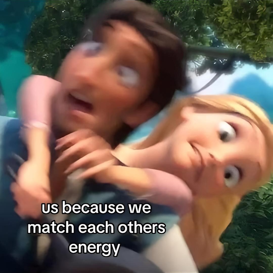 Out Of Context Animals (@animalscontexts) on Twitter photo 