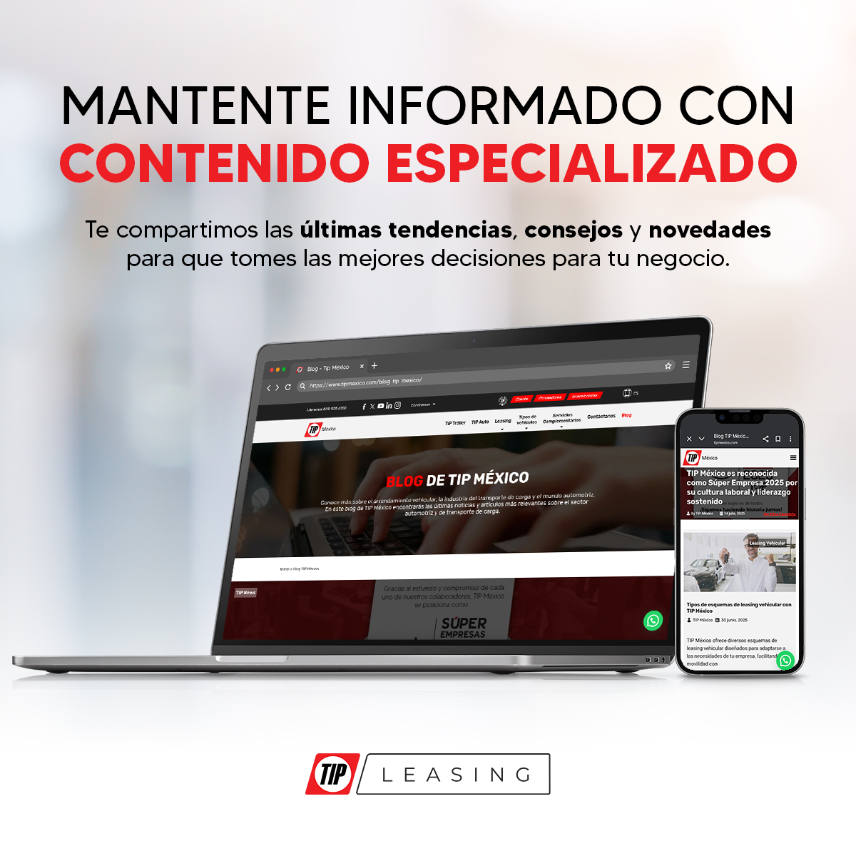 TIPMexico's tweet image. 📝 ¿Ya visitaste nuestro blog?
Te compartimos contenido diseñado para inspirarte, mantenerte informado y ayudarte a tomar decisiones estratégicas para tu negocio. ➡️ #TIPMéxico #TIPLeasing
tipmexico.com/blog-tip-mexic…