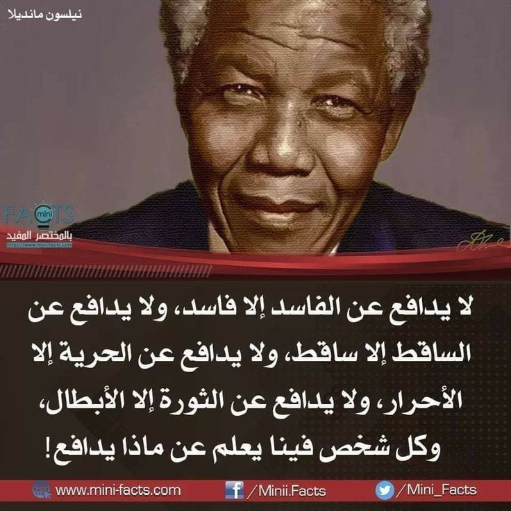 حمزة بن عبدالمطلب tweet media