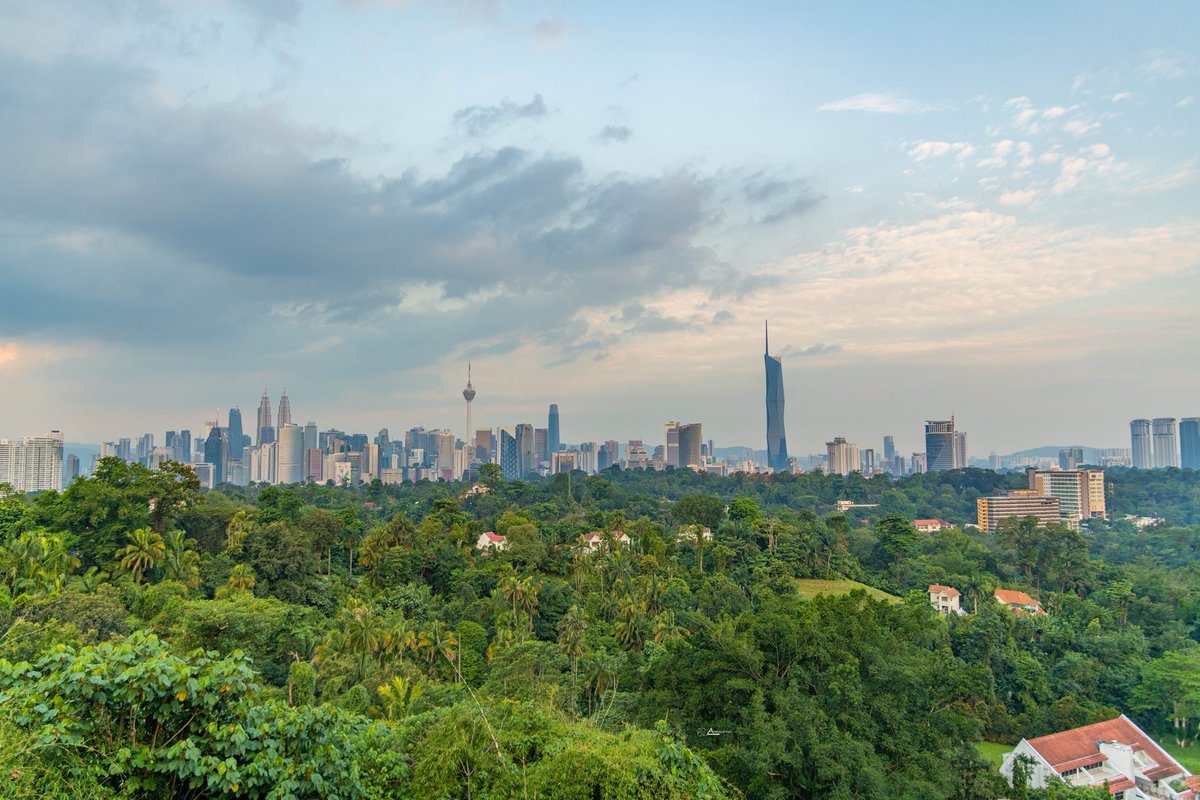 عبدالرحمن اليزيدي tweet media