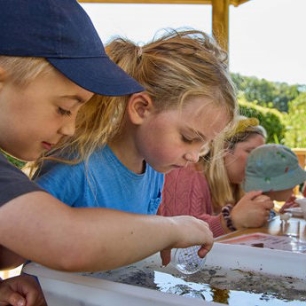 Pond Discoveries – Every Wednesday This Summer 🌿

Get hands-on with nature in our Wild in Nature: Pond Discoveries session. Explore the hidden world beneath the water as we go pond dipping to uncover the incredible creatures living in our wildlife ponds. 11am–12pm.