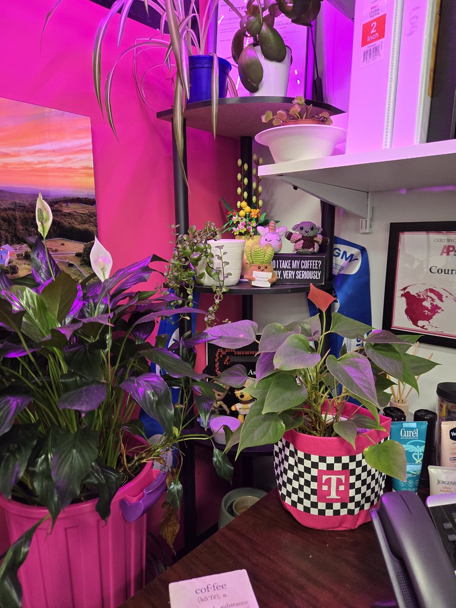 Cortney Bean tweet media